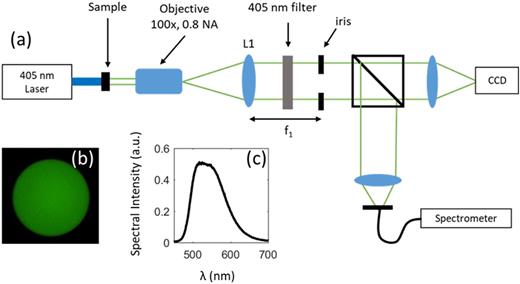 Directional light emission enhancement from LED-phosphor converters ...