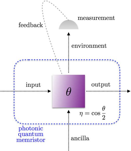 FIG. 1. Scheme for a quantum memristor in an optical setup by means of a tunable beam splitter, weak measurements, and classical feedback.