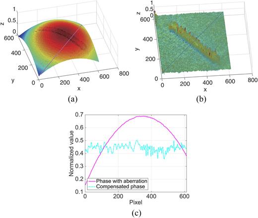 Automatic compensation of phase aberrations in digital holographic ...