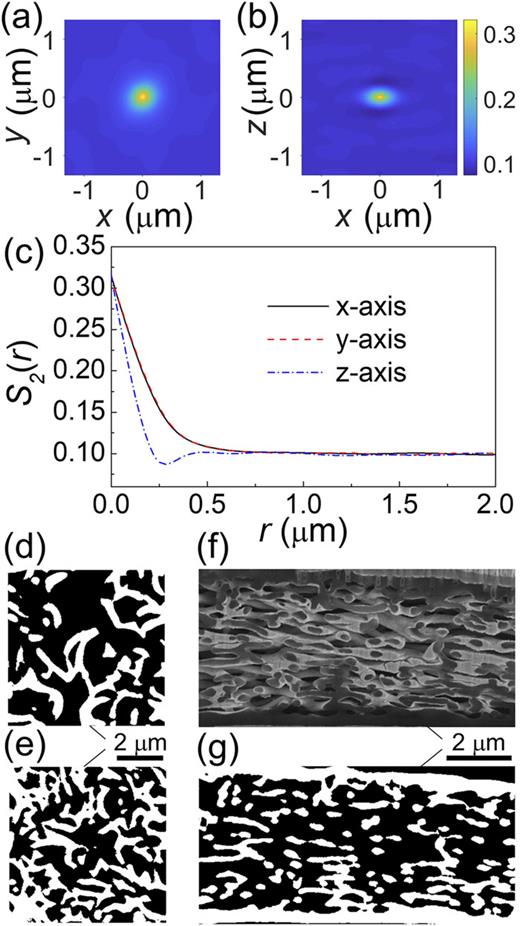 FIG. 1. [(a)–(c)] Two-point probability function S2 of Cyphochilus white beetle scales in the (a) xy-plane, (b) xz-plane, and (c) along the 3 principal directions. [(d) and (e)] Black-and-white x-ray tomography images in the xy-plane of the scales (d) in the middle and (e) near the boundary along the thickness direction. (f) Electron micrograph in an xz-plane of the scales exposed by a focused ion beam and (g) black-and-white version of the same image.