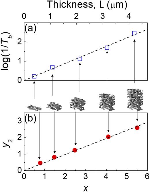 FIG. 2. (a) Plot of log(1/Tb) vs L, where the inverse slope is Lzz. (b) Plot of y2 vs x defined in Eqs. (7) and (8), where the inverse slope is L*zz. In both (a) and (b), symbols represent optical simulations and the dashed line is a linear regression on the simulation results. Images in the middle of (a) and (b) are the Cyphochilus white beetle scales used in the simulations.
