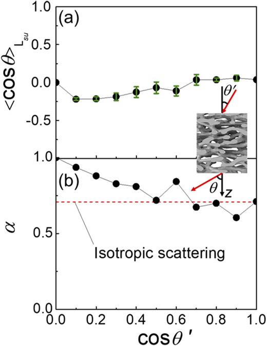 FIG. 4. (a) Mean cosine of the scattering angle cos θLsu and (b) fraction of scattering toward lateral directions α as a function of cosine of the incident angle θ′ for a scattering unit of Cyphochilus white beetle scales. The inset shows the definition of θ and θ′.