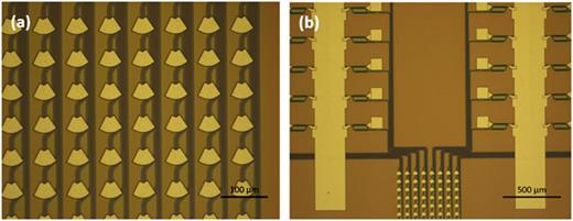 FIG. 5. Microscope images of the fabricated device: (a) grating array and (b) the switching tree with MZIs.