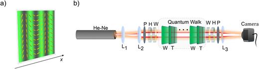 Scheme of the experimental setup. (a) Schematic illustration of a g-plate. The ellipsoids show the local orientation of the liquid crystal molecules; the background pattern corresponds to the intensity of white light transmitted by crossed polarizers when a g-plate is placed between them. (b) Sketch of the experimental apparatus. A He–Ne laser beam is expanded by using two lenses (L1 and L2). The input polarization is adjusted by using a polarizer (P), a half-waveplate (H), and a quarter-waveplate (W). The QW is performed by alternating g-plates (T) and quarter waveplates (W). An optical 2D Fourier transform is performed on the final state by a converging lens. In its focal plane, the light intensity distribution is recorded by a camera. An additional stage (W–H–P) can be inserted before lens L3 to analyze a single polarization/coin component.