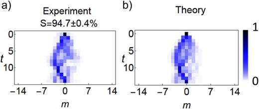 Nonadiabatic refocusing. We realize 14 steps of an electric quantum walk with force F = 2π/7 such that the Brillouin Zone is explored twice. At δ = π/2, due to the gap closing at q = π, Landau–Zener transitions occur with approximately unit probability. Hence, a double LZ transition should bring the particle to its original state. This is confirmed by our experiments [panel (a)], which are in good agreement with theoretical simulations [panel (b)]. Plots are shown for an H-polarized input state. Experimental data are averages over four repeated measurements.