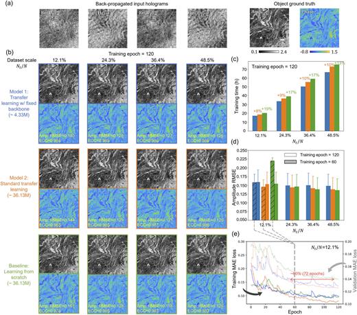FIG. 2. Transfer learning results of RH-M backbone on prostate tissue sections. Models 1 and 2 were transferred from the pre-trained RH-M model with and without fixed RNN backbone, respectively. Baseline models were trained from scratch. (a) Back-propagated input holograms Ui and ground truth complex field obtained by MH-PR using eight input holograms. (b) Reconstruction results of models 1, 2 and the baseline model transferred/trained on small training datasets with four different scales (i.e., different Nt/N ratios). The numbers in parentheses are the number of trainable parameters for each model. All the models were trained for 120 epochs. (c) The training time of RH-M models with increasing training dataset ratio (Nt/N). (d) Amplitude RMSE of the reconstructed complex fields by RH-M models with respect to the ground truth fields. The mean and the standard deviation of RMSE were calculated over a testing set with 49 unique FOVs. (e) Training and validation loss curves of transferred models and the baseline model on a small dataset with Nt/N = 12.1%.