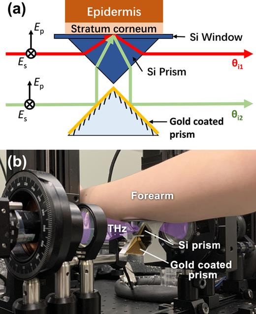 An introduction to terahertz time-domain spectroscopic ellipsometry ...