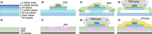 FIG. 2. Fabrication flow: (a) epitaxial growth of the source III–V wafer. (b) Creation of a diode by etching the mesa, deposition of anode and cathode contacts, and SiN passivation. (c) After tethering the diode to the substrate with a new of layer SiN, the release layer is etched away. (d) This suspended coupon is then picked up by a polydimethylsiloxane (PDMS) stamp of the micro-transfer-printer. (e) The silicon target wafer with 300 nm SiN on top of the BOX. (f) Waveguides are created, and a thin layer of benzocyclobutene (BCB) is spin-coated. (g) The coupon is then printed on top of the waveguide and (h) post-processed to create electrical contacts.