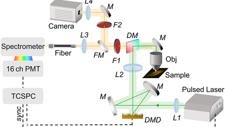Computational based time-resolved multispectral fluorescence microscopy ...