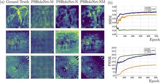 Impact of loss functions. The condition of NPCC and MSE offers the best performance. (a) Reconstruction results from PSHoloNet trained with mean-square-error loss (PSHoloNet-M), negative Pearson correlation coefficient loss (PSHoloNet-N), and their combination (PSHoloNet-NM). (b) The SSIM and PSNR curves for each case, respectively.