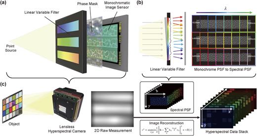 Aperture-encoded snapshot hyperspectral imaging with a lensless camera ...