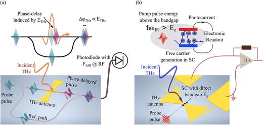 PICs for terahertz detection. Two distinct principles for terahertz detection in photonics integrated circuits: (a) χ(2)-driven electro-optic sampling in a miniaturized interferometer: A femtosecond pulse (green pulse) passes through a Mach–Zehnder interferometer waveguide structure. The pulse transverse to the THz antenna gap experiences a phase delay (ΔϕTHz) proportional to the incident THz electric field (orange wave). The interference between the phase-delayed pulse (violet pulse) and the pulse passing through the reference (Ref.) path is transformed into an intensity modulation and can be measured by a photodiode with a 3 dB bandwidth at radio frequencies (RF), a few KHz to a few tens of MHz downstream from the photonic chip. (b) Photoconduction: Similar to terahertz generation via photoconduction, the absorption of an optical beat note (red pulse) in a semiconducting (SC) PIN structure, where the intrinsic region has a direct bandgap Eg, generates a transient photocurrent. The collected incident THz wave (blue wave) by the THz antenna acts as a drive voltage and accelerates the generated carriers toward the contacts, where a current can be read out. The photocurrent is measured electronically after amplification with a trans-impedance amplifier (TIA).