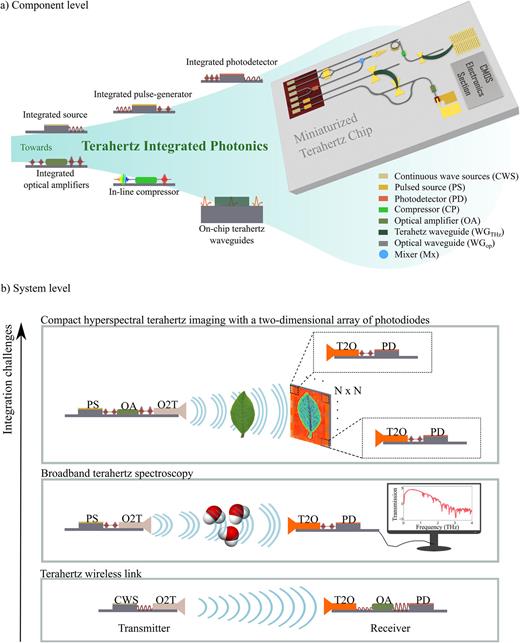 Milestones ahead toward terahertz integrated photonics. (a) Component-level perspective: To accomplish a fully on-chip photonic-based system operating at terahertz frequencies, several fundamental components such as continuous wave and pulsed sources, photodetectors, optical amplifiers, terahertz waveguides, and in-line compressors remain to be developed. Hybrid/heterogeneous integration, in a low-cost and mass-manufacturable way, is a crucial criterion to fulfill the physical requirements for high-performance PICs. (b) System-level perspective: several components of panel (a) may be assembled into a system with applications in terahertz wireless links, broadband spectroscopy, and phase-resolved hyperspectral terahertz imaging. All components may benefit the applications depicted in Fig. 1. O2T and T2O are optical-to-terahertz and terahertz-to-optical converters, respectively.