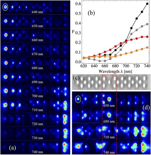 (a) Output profiles of a non-trivial diamond photonic lattice at different λ’s after a B-edge excitation (see yellow ellipse). (b) Fidelity vs wavelength for topological (black), trivial (gray), topological + defect (red), and trivial + defect (orange) lattices. (c) Microscope image of a topological lattice plus two coupling defects (see dashed rectangle). (d) Same as (a) for a topological lattice with a coupling defect.