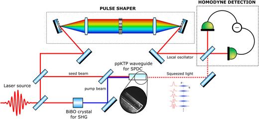 Spectrally shaped and pulse-by-pulse multiplexed multimode squeezed ...