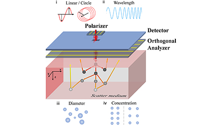 Enhancing reflected light filtration of photoelectronic detection ...