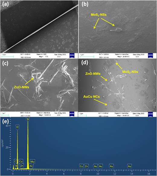 (a) SEM image of the 3S fiber structure; (b) MoS2-NSs-immobilized over the fiber structure; (c) MoS2-NSs, and ZnO-NWs over the fiber probe; (d) MoS2-NSs, ZnO-NWs and AuCu NCs over the fiber probe; and (e) EDS analysis of panel (d).