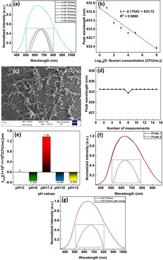 (a) Sensing spectrum, (b) linear plot, (c) SEM image of the probe surface of S. flexneri at a concentration of 108 CFU/ml, (d) stability test, (e) pH test, (f) repeatability test, and (g) reproducibility test of the developed sensor.