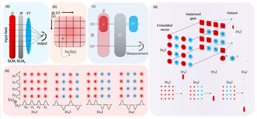 (a) Analog of quantum computing using optical vector-matrix multiplication. SLM1 encodes the lattice state via an operation, U, by copying the vector components encoded in the x-direction into the y-direction following Ref. 27. The second SLM encodes the matrix operation M. After this, a cylindrical lens focuses the field in the x-direction to produce the final matrix-vector product at the output farfield plane. (b) The encodings performed by the spatial light modulators (SLMs) operate on the tensor product states |xk⟩ ⊗ |yj⟩ corresponding to the discrete position states that can be obtained by partitioning the Cartesian plane (R2) into non-overlapping segments. (c) A quantum circuit for performing matrix multiplication using our basis states |xk⟩ ⊗ |yj⟩, corresponding to the coordinates of the partitions. The operations are represented as operators that act on the x-coordinate and y-coordinate degrees of freedom. (d) An example of the Hadamard basis states, |uj⟩, encoded onto the lattice states for N = 4. Here, the lattice is formed from propagation invariant Gaussian modes, each encoded into the independent partitions. To demonstrate that they form a tensor product space, HN⊗HN, we show the individual states for the x and y coordinates, where the final lattice is obtained from their tensor products. These states are orthogonal. (e) Example of one of the states being acted on by the Hadamard gate and then focused to perform the column-wise summation. The embedded state vector is modulated point-wise with an SLM encoding the Hadamard matrix/gate. This is then focused in the farfield with a cylindrical lens, where the zero order component of the pattern contains the result in the vertical direction. The outcomes are shown for other states in the Hadamard basis mapping from |uj⟩ to the |vj⟩.