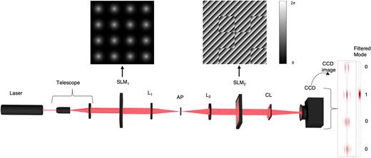 A laser beam is expanded using a telescope to overfill the active area of the first Spatial Light Modulator (SLM 1). At this point, the beam is transformed to encode the input vector as repeated rows in a matrix of Gaussian beams. This output is then relayed to SLM 2 using the 4f system of lenses (L2 and L1), where the lattice undergoes an additional phase encoding. An aperture (AP) at the focal plane of lens L1 filters out the first-order diffraction pattern. Subsequently, the beam is propagated through a cylindrical lens (CL) and undergoes a one-dimensional Fourier transform in the x-coordinate. The final outcome is captured by a CCD camera, with the result of the multiplication found on the central fringe, which is filtered out (as shown in the inset). The filtered mode image on the CCD camera displays the result of the matrix-vector multiplication, where regions of no intensity correspond to zero elements and bright regions correspond to non-zero elements. The holograms encoded on each SLM are shown as grayscale images.
