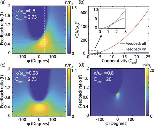 (a) Theoretically predicted phonon occupation of the mechanical resonance as a function of feedback parameters, normalized by the number of phonons during pure self-oscillation (f = 0) for the device parameters used in this work (κ/ωm = 0.8) and an optimally blue detuned drive field with intensity corresponding to Com = 2.73. The dashed lines correspond to parameter ranges studied experimentally below. (b) Predicted normalized phonon occupation for varying Com with optimized feedback parameters (red) and feedback turned off (blue). (c) and (d) Repeat part (a) for κ/ωm = 0.08 and Com = 2.73, and κ/ωm = 0.8 and Com = 20, respectively.