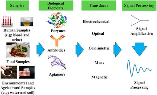 Illustration of biosensor components, which include biological recognition elements/bioreceptors, transducers, samples, and photodetectors.9