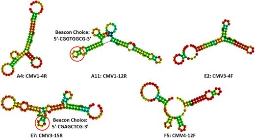 Schematic of commonly used DNA aptamers with high affinity having secondary stem-loop structures.121