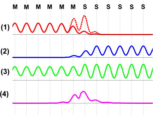 FIG. 32. Schematic drawing of the density of four classes of electronic states found at epitaxial MS interfaces. Layer positions of metal (M) and semiconductor (S) are indicated. The four different types of interface states are (1) metal bulk states, (2) semiconductor bulk states, (3) coupled bulk states, and (4) true interface states. In (1), a possible interface resonance is also drawn as dotted line.