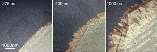FIG. 15. Time-resolved single-shot DTEM images of the formation of Zone II microstructure during crystallization of a-Ge. Large, radially elongated crystals grow from the Zone I boundary with a radial velocity of approximately 8 m/s. The initially flat crystallization front (275 ns) develops protrusions (400 ns) that have an increasingly faceted appearance (1000 ns). False color added to accentuate zones. Reprinted with permission from Nikolova et al., Phys. Rev. B 87(6), 064105 (2013). Copyright 2013 American Physical Society.