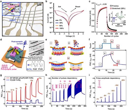 Artificial synaptic devices. (a) Photograph image of the RRAM based stretchable artificial synapse. The inset illustrates the structure of the RRAM, comprising transitional material TiO2 and electrodes positioned on the island structure, encapsulated with SU-8. (b) Electrical properties of the stretched RRAM with different strains from 40% to 100%. (c) The LTD and LTP characteristics of the fabricated artificial synapse in original state (black) and elongated state (red). Reprinted with permission from Kim et al., Adv. Mater. 33(44), 2104690 (2021). Copyright 2021 Wiley-VCH GmbH.15 (d) A schematic image of Fe-OFET based artificial synapse. Inset shows the focused ion beam (FIB) image of fabricated Fe-OFET (Scale bar = 200 nm). (e) and (f) Schematics of dipole reorganization process in ferroelectric layer of the Fe-OFET during tactile stimulation process (∼0.3 kPa) (e) and the corresponding PSC output result (f). (g)–(i) The output characteristics of PSCs using different ferroelectric materials [BT NP (20 wt. %)/P(VDF-TrFE) and P(VDF-TrFE)] (g), their dependency based on the number of applied pulses (h), and their reliance on different applied pulse amplitudes (i). Reprinted with permission from Lee et al., Nat. Commun. 11(1), 2753 (2020). Copyright 2020 The Authors.16