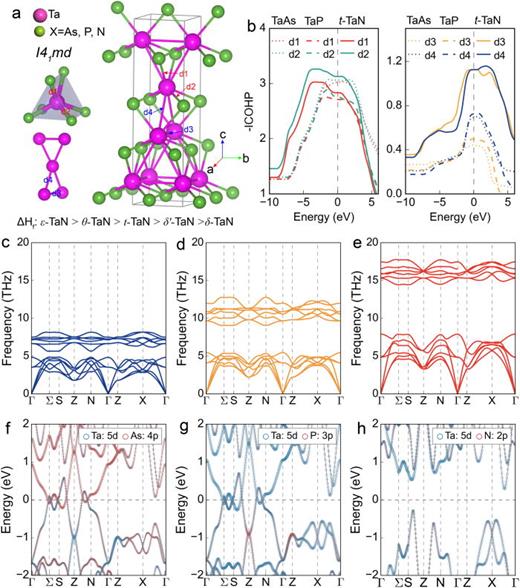 Crystal structure, COHP, phonon spectra, and electronic band structures of TaX (X = As, P, N). (a) Crystal structure of TaX compounds and illustration of atomic coordination environments around the Ta and X atoms. (b) The negative integrated COHP (-ICOHP) for  d1,  d2,  d3, and  d4, in which the double dotted lines, dotted lines, and solid lines correspond to TaAs, TaP, and t-TaN, respectively. (c)–(e) Phonon dispersions and (f)–(h) electronic band structures of TaAs, TaP, and t-TaN, where the atomic orbital contributions are represented by colored open circles.