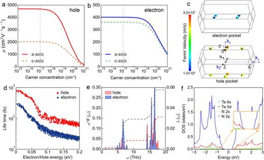 Pronounced anisotropy in electron and hole mobility, high Fermi velocities, and extended carrier lifetimes. (a) Room-temperature (RT) hole mobility of t-TaN as a function of carrier concentration along the a- and c-axes. (b) RT electron mobility of t-TaN as a function of carrier concentration along the a- and c-axes. (c) Fermi surfaces illustrating the distribution of Fermi velocities for electrons and holes at a carrier concentration of  nc=10  17cm3. (d) Phonon-limited carrier lifetimes for electrons and holes. (e) Eliashberg spectral function  α2F(ω) and el–ph coupling strength  λ( ω). (f) The partial density of states (DOS) of t-TaN.