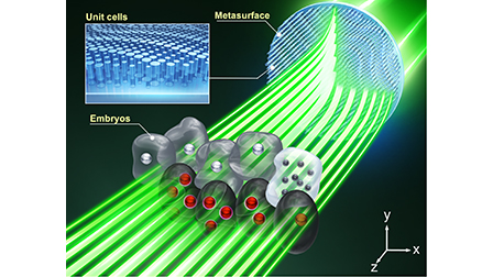 Metasurface-based Airy light-sheet fluorescence microscopy | Applied ...