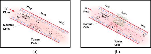 FIG. 1. Illustration of the dependence of the cutoff distance, rc, on application of an external d.c. magnetic field, H. (a) The nanoparticles within this distance from the membrane surface target the cancer cells due to the high-specificity nanoelectroporation effect. (b) The distance is increased with an increase in the magnetic field.