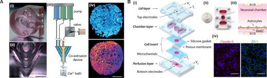 3D printing in cell culture systems and medical applications | Applied ...
