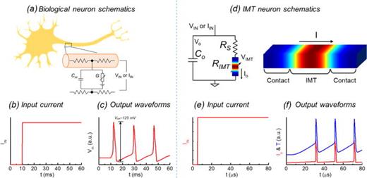 Organismic materials for beyond von Neumann machines | Applied Physics ...