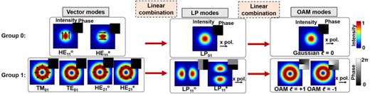FIG. 37. Intensity and phase profiles of the vector modes, LP modes, and the corresponding OAM modes of two mode groups (group 0 and group 1) in conventional MMFs. The arrows in the vector mode intensity profiles represent the polarizations. LP and OAM modes on the x-polarization are shown as an example.