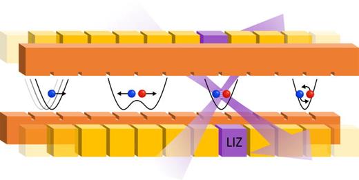 Fig. 1. 1D QCCD architecture: Trapped-ion qubits are arranged along the RF null axis of a uniformly segmented linear Paul trap. The lasers performing qubit operations are directed to a fixed segment, the LIZ. The qubits are kept in small groups of two to four ions, and rearranged via shuttling operations, which are carried out by changing the voltages applied to the trap electrodes. The rearrangement operations fall into different categories, from left to right: Linear transport, separation and merging, and swapping via crystal rotation. Reprinted with permission from Kaushal, Doctoral thesis (Johannes Gutenberg University, 2019). Copyright 2019, Johannes Gutenberg University.