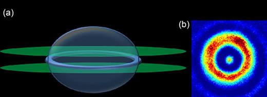 (a) Principle of the ring trap based on the combination of a magnetic bubble trap and two blue-detuned light sheets. (b) In situ image of the ring. The spot at the center is not due to the presence of atoms inside the ring but only to optical diffraction from the ring.