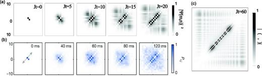 (a) The norm of the wavefunction    | Ψ ( m , n , t )  | 2 at different times for two flipped spins initially at    m = 1 , n = 0. (b) The joint probabilities at different times of two spins at sites i and j initially at    i = 1 , j = 0, measured experimentally in Ref. 278. Reprinted with permission from Liu and Andrei, Phys. Rev. Lett. 112, 257204 (2014). Copyright 2014, American Physical Society.
