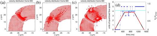 Velocity distributions of the racetrack condensate during the ramp–up of the stirring. (a) A backflow plus vortex/antivortex pair develops in the barrier region, (b) the vortex/antivortex pair swap, (c) the vortex/antivortex pair move away form the barrier in the antistir direction while a compression wave moves off in the stir direction. (d) Circulation (blue line) around the midline track versus time for this case. The red and black curve gives the barrier height versus time. The curve is colored red when the barrier is on the curved parts of the racetrack and colored black when it is on the straight parts. The quantity     V  p , mas is the maximum energy height of the barrier during the stir. The straight cyan curve shows the stirring speed of the barrier in units of the quantized flow speed,     v  flow = 2 π ℏ / ( M s ), where s is the arc length of the racetrack midline. Parameters:    L = 30   μm,     v  stir = 339   μm/s. Results shown are based on zero–temperature Gross-Pitaevskii mean-field theory. Panel (d) of this figure was created using data reproduced from Ref. 417.