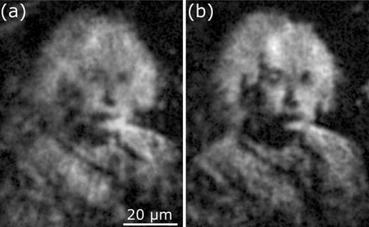 Generating complex potentials using half-toning. (a) Initial in situ image of the BEC density in a half-toned potential of Einstein calculated using the optical system parameters. (b) Final converged BEC image after 11 feedback iterations where the atomic density is used to iteratively correct for imperfection in the density generated using the method described by Tajik et al. (Ref. 70) and Gauthier (Ref. 71).