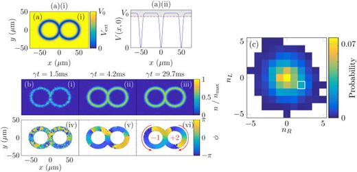(a) Simplest coplanar connected double-ring geometry: Shown are (i) the 2D potential, and (ii) the cut through y = 0. Note that the interfacial potential considered here is identical to that of the outer unconnected regions of the rings. (b) Formation dynamics of characteristic numerical realization with different winding numbers across the two rings: shown are growing density (from a noisy initial configuration; top row (i)-(iii)) and corresponding phase evolution [bottom row, (iv)–(vi)], for a characteristic example with distinct winding numbers     n  left = − 1 and     n  right = + 2 across the left and right rings, respectively. (c) Histogram of all possible steady-state winding number contributions, when performing numerical quenches from an initial noisy configuration. The indicated white box highlights the case    (  n  left ,    n  right ) = ( − 1 , + 2 ) ) considered in (b). We have explicitly verified that once such an unequal winding number contribution forms after sufficient system relaxation/equilibration, it does remain stable for all subsequent evolution (with this feature also found to be insensitive to the precise choice of the “growth” parameter γ in the stochastic simulations). Parameters:    N ∼ 2 ×   10 5 87Rb atoms, T = 10 nK, effective 2D interaction strength     g ̃ = 0.077; Tight harmonic transverse confinement with     ω z = 2 π × 1000 Hz, with the 2D potential defined by    V ( x , y ) =  V 0   min  (  1 − exp    [  − 2    (  ρ ( x − R , y ) − R ) 2 /  w 2 ] ,     1 − exp    [  − 2    (  ρ ( x + R , y ) − R ) 2 /  w 2 ] ) , where    ρ ( x , y ) =    x 2 +  y 2 ,    V 0 = 1.1 μ, the ring radius is    R = 25   μm and its width is    w = 6   μm. Adapted with permission from Bland et al., J. Phys. B. 53, 115301 (2020). Copyright 2020, Author(s) licensed under a Creative Commons Attribution 4.0 License.394