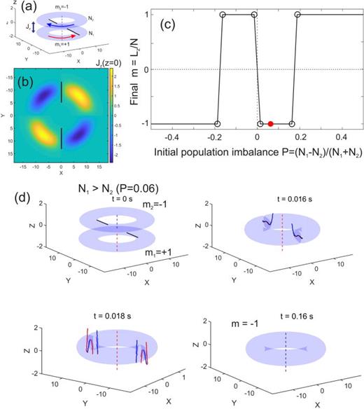 Coupled coaxial superfluid atomic circuits with counter propagating persistent currents. (a) Hybrid vortex stationary states with hidden vorticity. Vertical red and blue dashed lines designate cores of the counter-propagating persistent currents in the two rings. The cores of the Josephson vortices are indicated by solid black lines. (b) z-component of the corresponding tunnel-flow density distribution through the barrier,     J z ( x , y , z = 0 ). (c) The final value of the total angular momentum per particle     L z / N for the merging rings with initial vorticities    ( + 1 , − 1 ) as a function of initial population imbalance    P = (  N 1 −  N 2 ) / (  N 1 +  N 2 ). (d) An example of evolution of the merging rings in oblate trapping potential. The barrier separating two rings is switched off at    t >  t d = 0.015 s, dissipative parameter    γ = 0.03. Red (blue) lines indicate positions of the vortex (antivortex) core. The population of the bottom ring, with vortex     m 1 = + 1, is slightly larger than in the top one, with antivortex     m 2 = − 1 [initial imbalance parameter, P = 0.06, is indicated by filled red circle in (c)]. The final state has m = −1. The symmetric drift of two diametrically opposite antivortices toward the central hole leads to subsequent annihilation of the central vortex and relaxation of the toroidal condensate into a final antivortex m =−1 state, as described in Ref. 403.