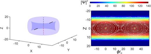 A long-lived hybrid complex is produced by the evolution of merging strongly elongated toroidal condensates, as described in Ref. 404. Shown are 3D isosurface with constant condensate density (left) and maps of the distribution of the density (right) on the cylindrical surface at the radius corresponding peak density of the condensate,   ϕ being the angular coordinate.