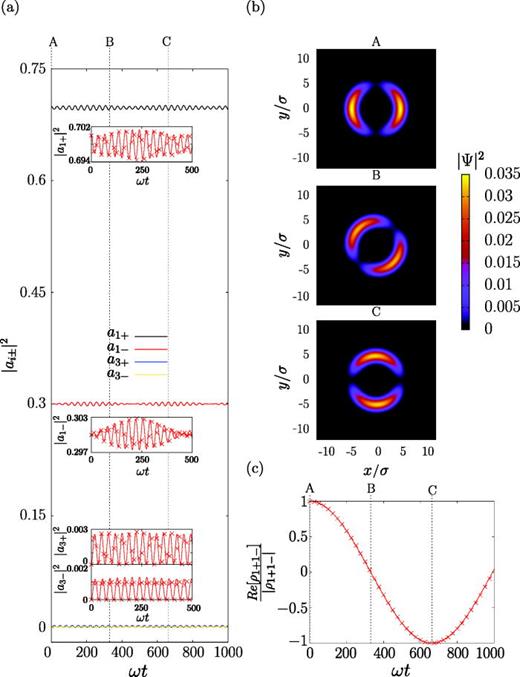(a) Time evolution of the population of the states involved in the dynamics. (b) Snapshots of the density profile for different instants of the dynamical evolution. (c) Time evolution of the real part of the coherence between the     |  1 , + ⟩ and     |  1 , − ⟩ states. The points correspond to the numerical simulation of the GPE, while the continuous lines are obtained by solving the FSM equations. The considered parameter values are R = 5,     g  2 d = 1, for which U = 0.0128,     μ 1 = 0.529 and     μ 3 = 0.699 ,    a  1 + ( 0 ) =    p  1 + ( 0 ) =   0.7 and     a  1 − ( 0 ) =    p  1 − ( 0 ) =   0.3. Reprinted with permission from Pelegrí et al., New J. Phys. 20, 103001 (2018). Copyright 2018, Author(s) licensed under a Creative Commons Attribution 3.0 License.