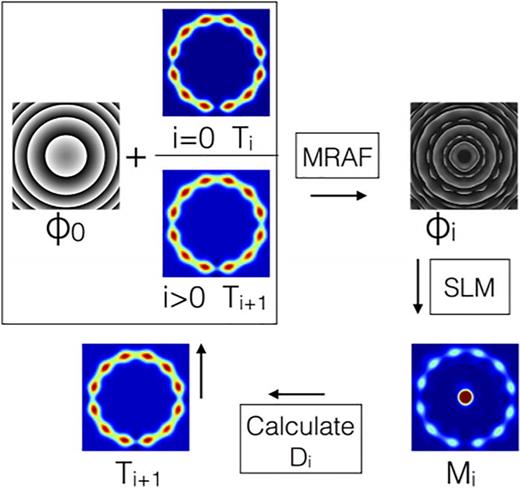 Our feedback algorithm. Starting at the top left the initial phase and target are used in the MRAF code. This generates the phase guess,     ϕ i, which is uploaded to the SLM and an image captured by the CCD camera, Mi. This is used to calculate the discrepancy between the image and the original target, and a new target     T  i + 1 is created. The loop then repeats. Reprinted with permission from Aghamalyan et al., New J. Phys. 18, 075013 (2016). Copyright 2016, Author(s) licensed under a Creative Commons Attribution 3.0 License.