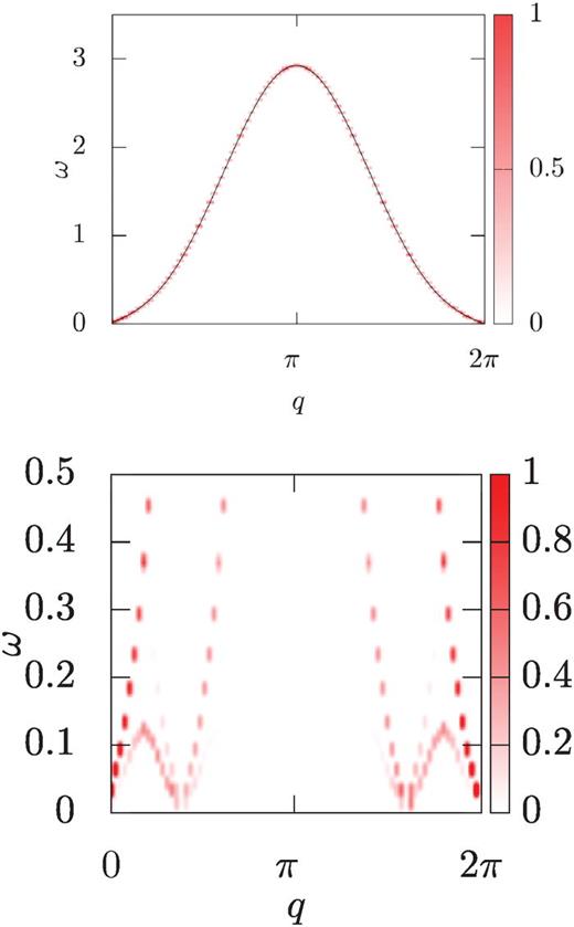 Dynamic structure factor in the frequency-wavevector plane in the frequency-wavevector plane (color map, q in units of    1 / a with a lattice spacing and ω in units of J) Upper panel: in the Meissner phase, for    U n / J = 0.2 , λ = π / 2 ,   K / J = 3. Lower panel: in the vortex phase for    Ω / J = 1.6    λ = π / 2 , U n / J = 0.2. For both panels Ns = 80.