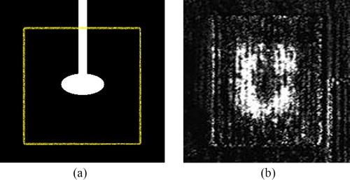 DMD image on the left, where the real dimension of the SC film is highlighted in yellow and absorption image of the atomic cloud on the right.