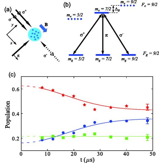 (a) Propagation directions of the tripod laser beams (full arrows) and their polarizations along a magnetic field bias (   B = 67 G). For the non-Abelian gauge field discussed in the text, the     σ − laser beam direction is flipped (dashed arrow). (b) Energy levels and experimentally relevant transitions. The magnetic bias field lifts the degeneracy of the different Zeeman manifolds and allows to address each transition individually. The Landé g-factors are indicated for each hyperfine level. The black arrows connecting the ground state to the excited states correspond to the tripod beams. (c) Time evolution of the bare-state populations after the tripod ignition. Red stars, green squares, and blue circles correspond to    | m = 9 / 2 ⟩ ,   | m = 7 / 2 ⟩, and    | m = 5 / 2 ⟩ states, respectively. Adapted with permission from Leroux et al., Nat. Commun. 9, 3580 (2018). Copyright 2018, Author(s) licensed under a Creative Commons Attribution 4.0 License.